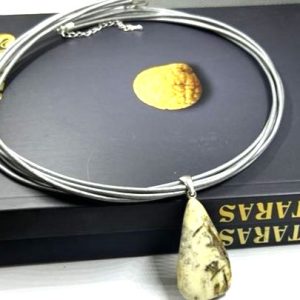 Verynis su unikaliu gintaro pakabuku