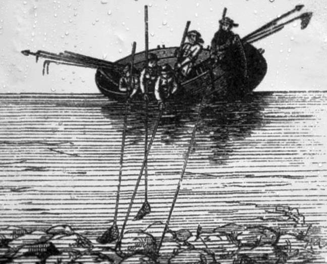 Gintaro gavyba jūroje