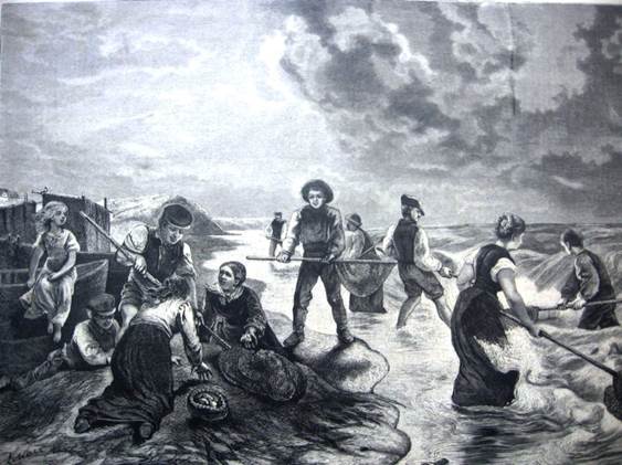 Gintaro gavyba pakrantėje