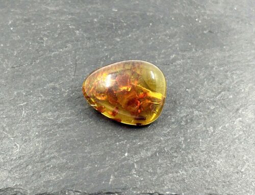 Sagė iš  Baltijos gintaro